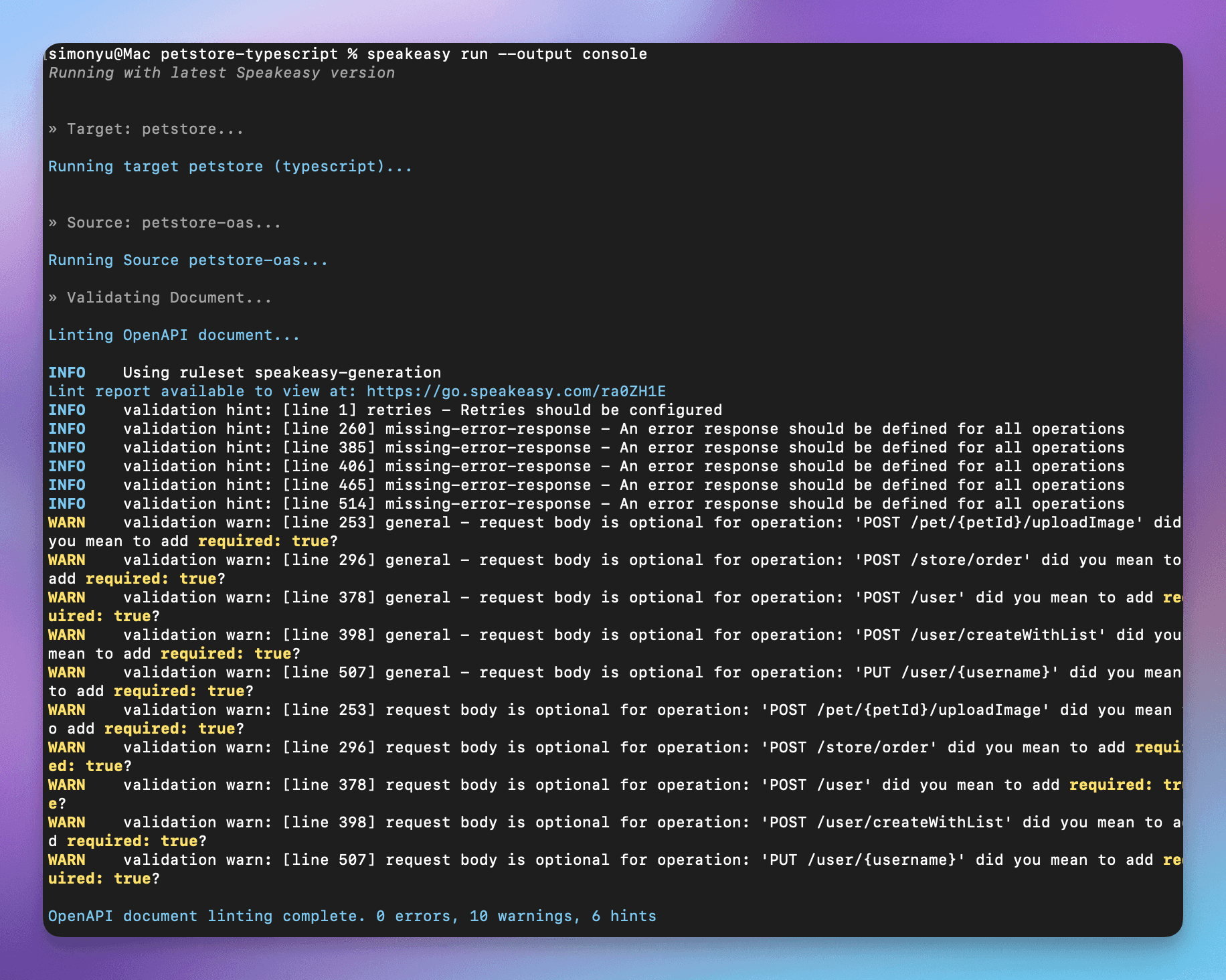 Console output showing detailed speakeasy run execution